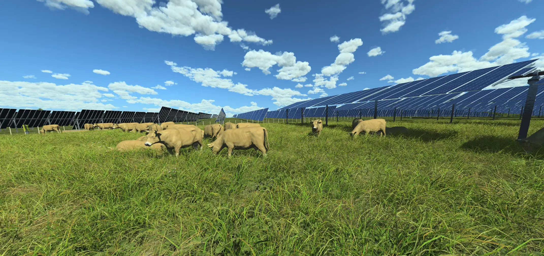 ferme elevage bovin finistere